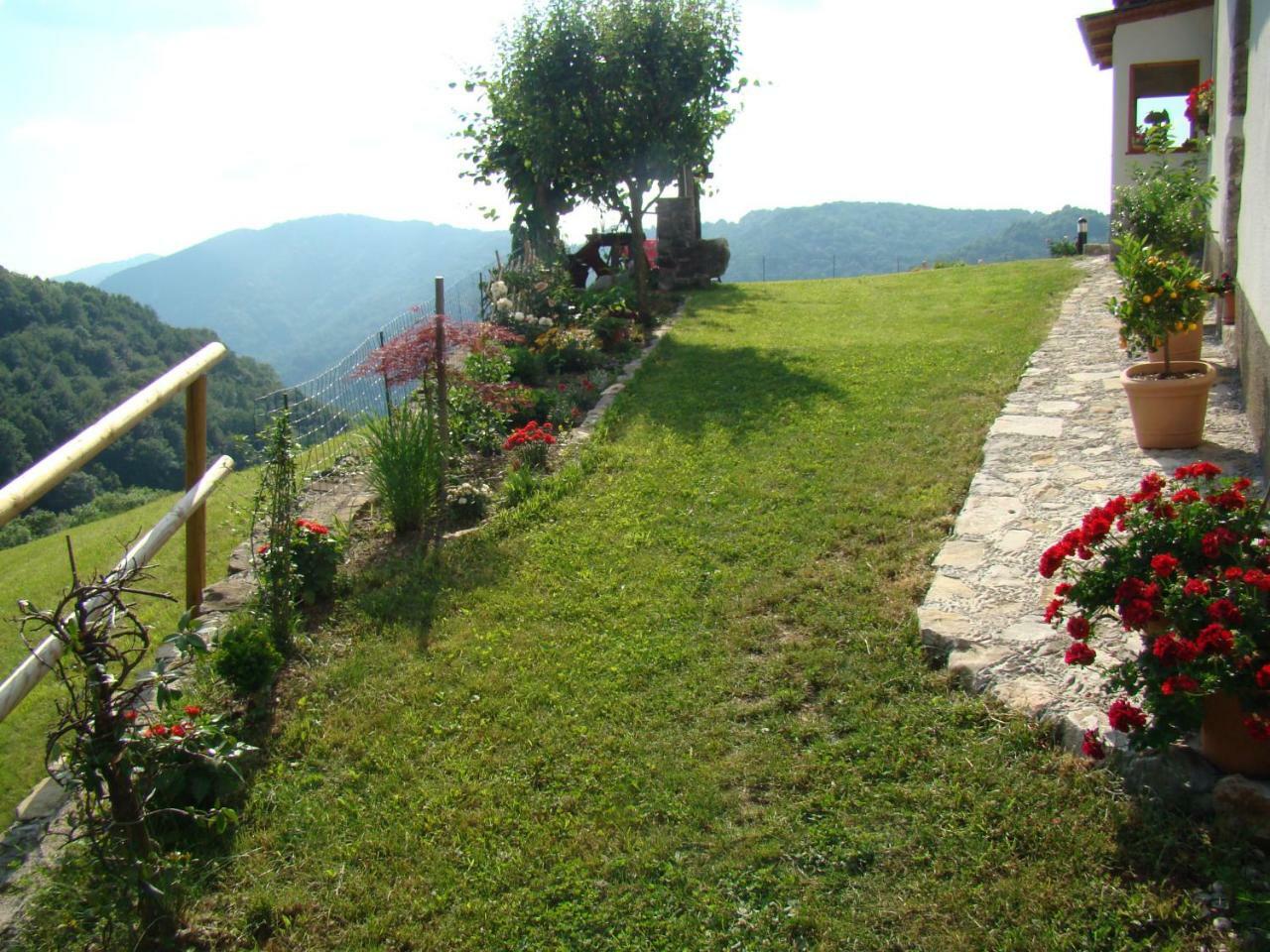 Apartmaji Nena Rocinj Exterior foto